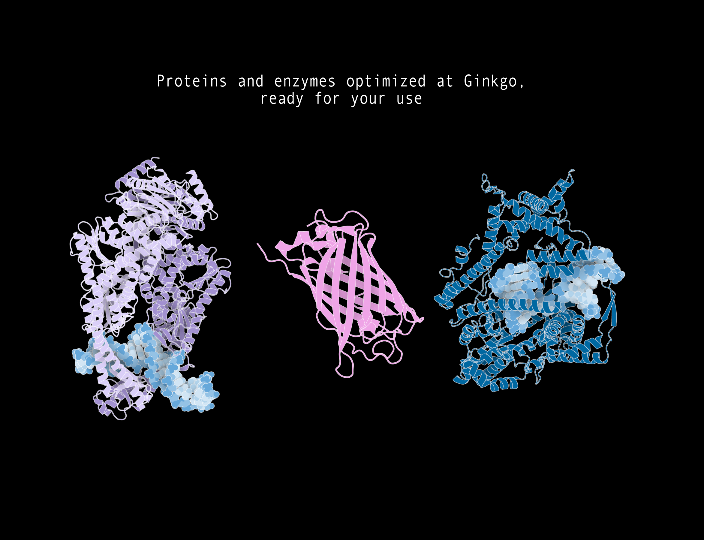 Proteins and Enzymes