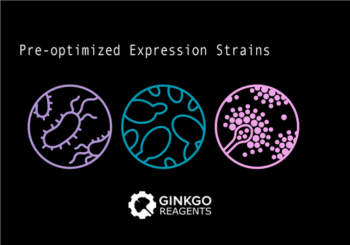 Expression Strains