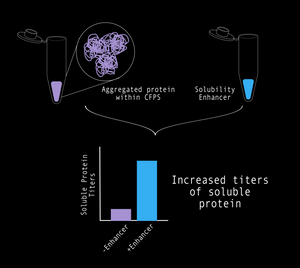 Solubility Enhancer