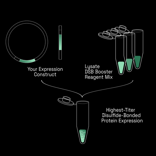 CFPS Disulfide Premium - Beta release