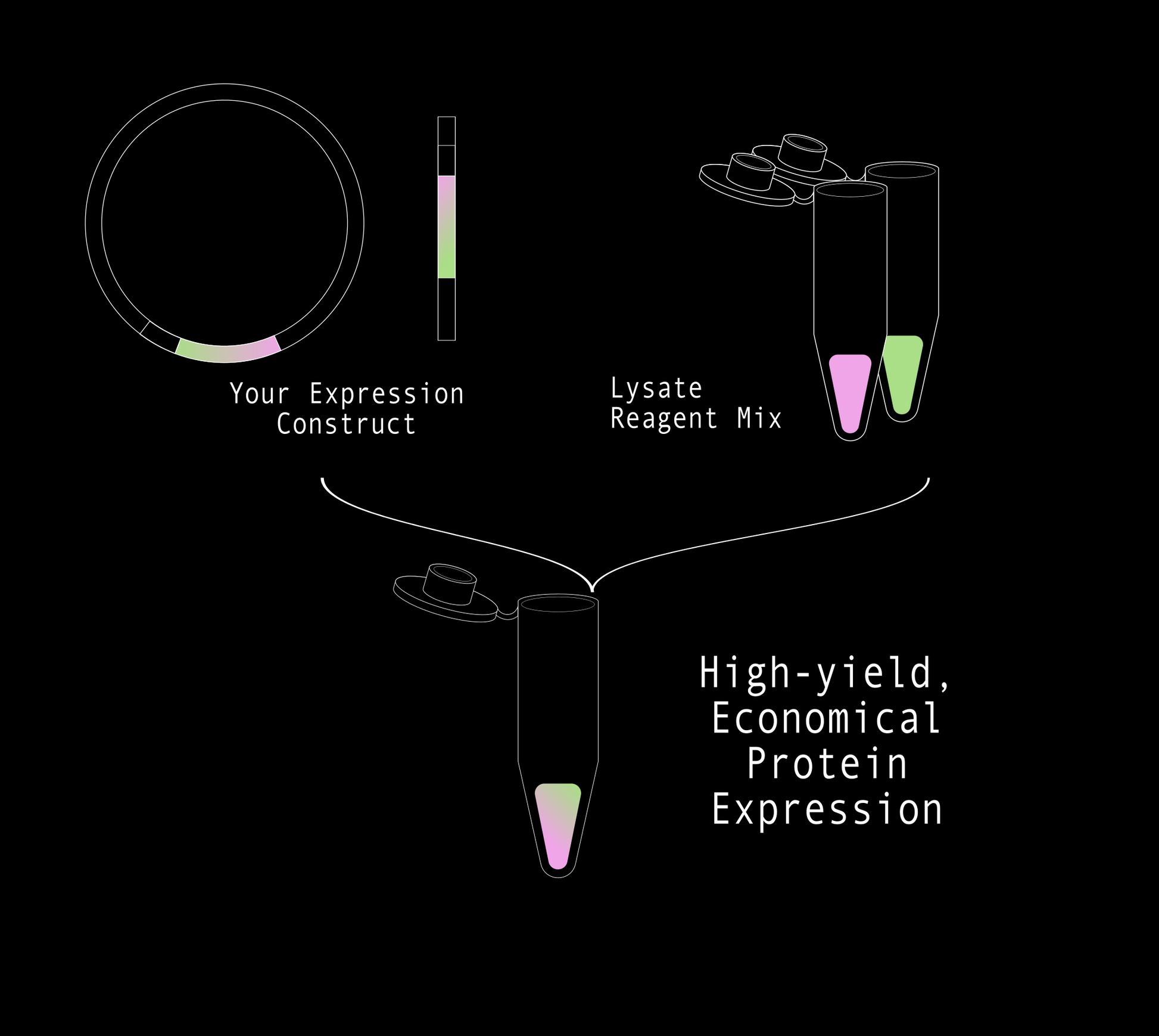 CFPS Economy kit (Beta)