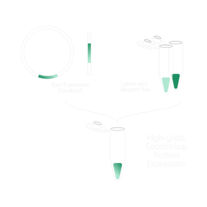 CFPS Economy kit