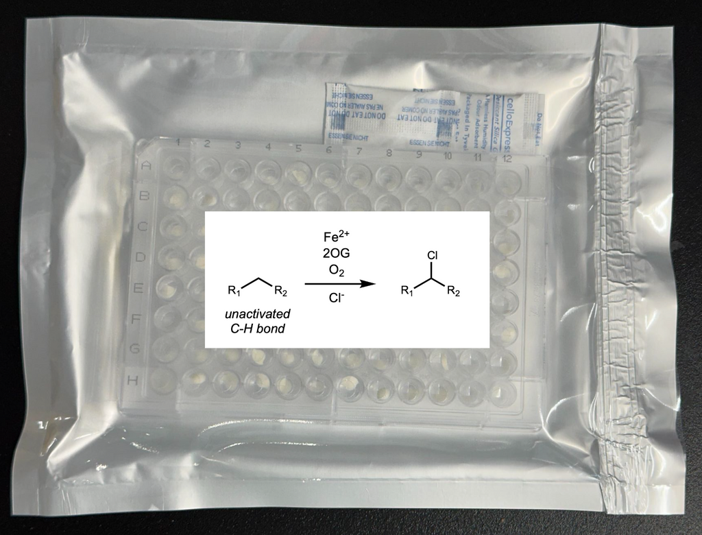 2-Oxoglutarate Dependent Dioxygenase (2ODD) Chlorinase Enzyme Panel