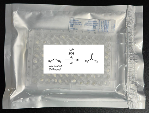 2-Oxoglutarate Dependent Dioxygenase (2ODD) Chlorinase Enzyme Panel