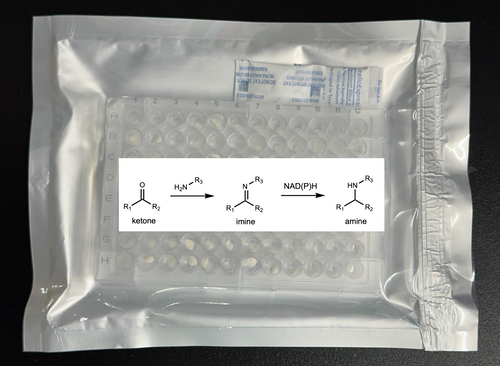 Imine Reductases (IREDs) Enzyme Panel