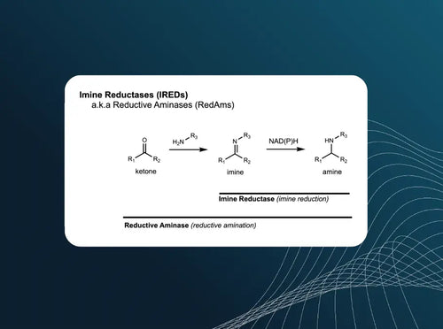 Imine Reductases (IREDs) Enzyme Panel