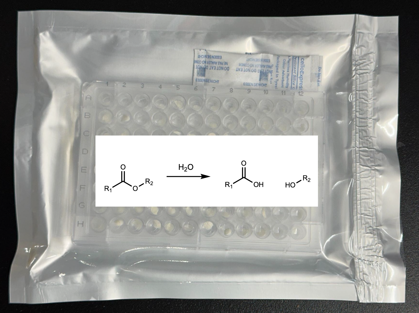 Lipase Enzyme Panel