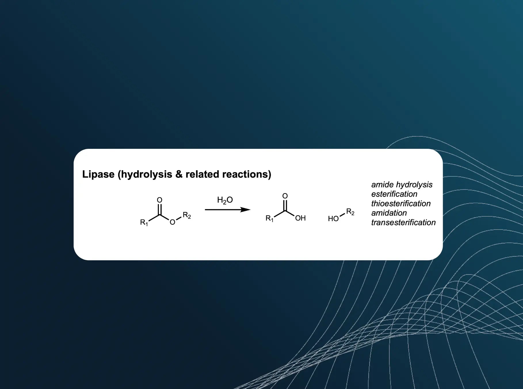 Lipase Enzyme Panel
