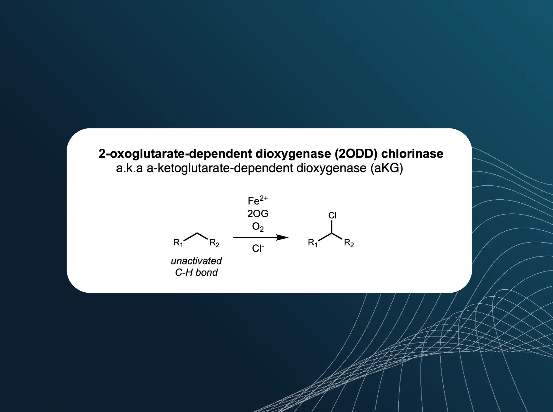 2-Oxoglutarate Dependent Dioxygenase (2ODD) Chlorinase Enzyme Panel